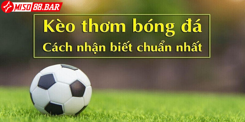 Tổng hợp một số cách nhận biết kèo thơm chuẩn xác