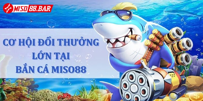 Miso88 đem đến nhiều phần thưởng hấp dẫn